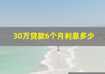 30万贷款6个月利息多少