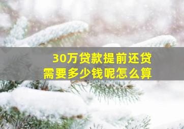 30万贷款提前还贷需要多少钱呢怎么算