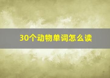 30个动物单词怎么读