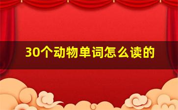 30个动物单词怎么读的