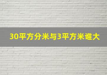 30平方分米与3平方米谁大