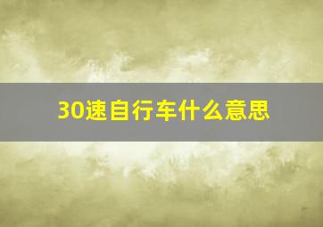 30速自行车什么意思