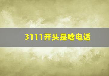 3111开头是啥电话