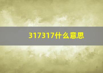 317317什么意思