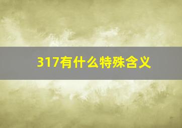 317有什么特殊含义