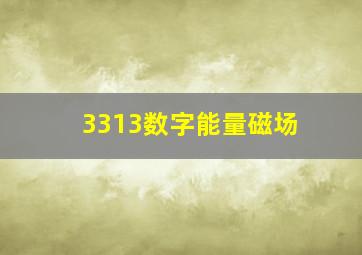 3313数字能量磁场