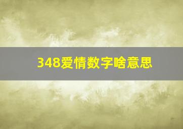 348爱情数字啥意思