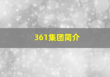 361集团简介