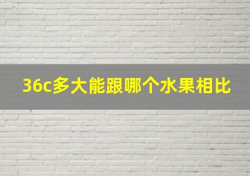 36c多大能跟哪个水果相比