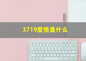 3719爱情是什么