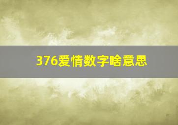 376爱情数字啥意思