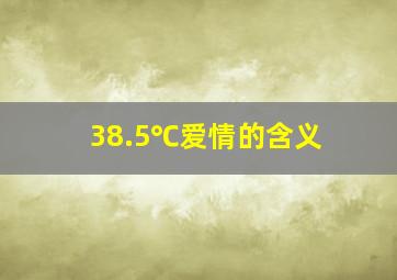 38.5℃爱情的含义