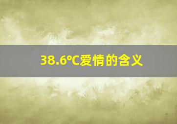 38.6℃爱情的含义