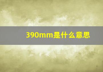 390mm是什么意思