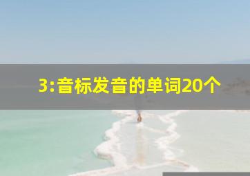 3:音标发音的单词20个