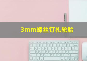 3mm螺丝钉扎轮胎