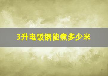 3升电饭锅能煮多少米