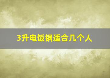 3升电饭锅适合几个人