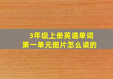 3年级上册英语单词第一单元图片怎么读的