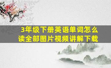 3年级下册英语单词怎么读全部图片视频讲解下载