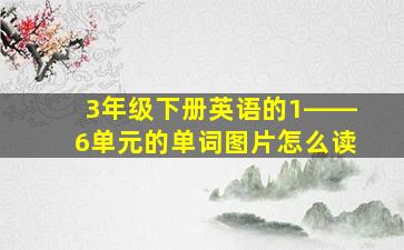 3年级下册英语的1――6单元的单词图片怎么读