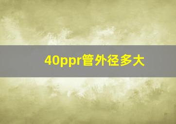 40ppr管外径多大