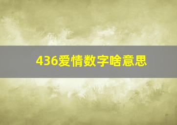 436爱情数字啥意思