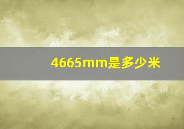 4665mm是多少米