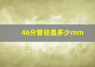 46分管径是多少mm