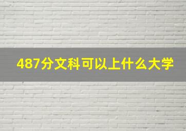 487分文科可以上什么大学