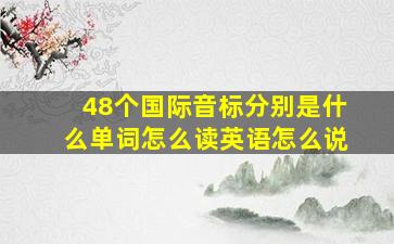 48个国际音标分别是什么单词怎么读英语怎么说