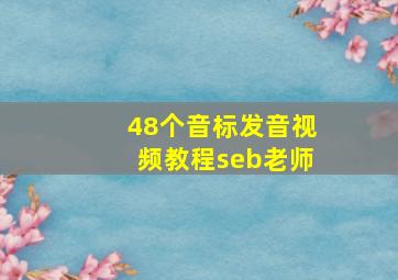 48个音标发音视频教程seb老师