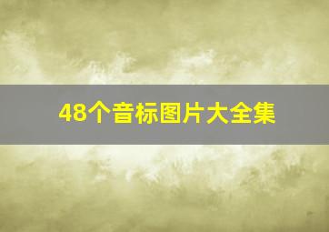 48个音标图片大全集