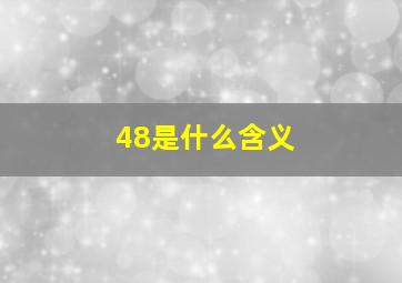 48是什么含义