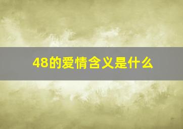 48的爱情含义是什么