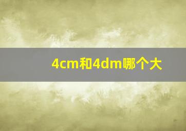 4cm和4dm哪个大