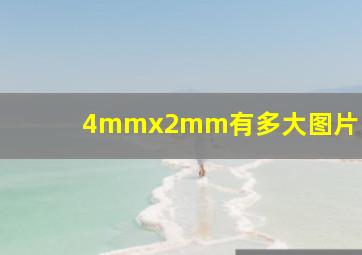 4mmx2mm有多大图片