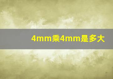 4mm乘4mm是多大