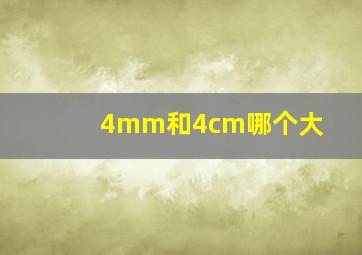 4mm和4cm哪个大