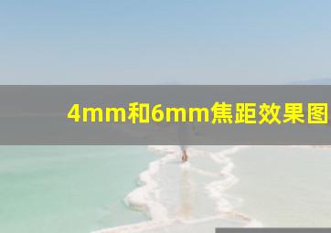 4mm和6mm焦距效果图