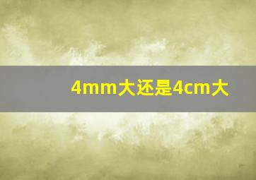 4mm大还是4cm大