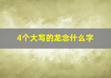 4个大写的龙念什么字