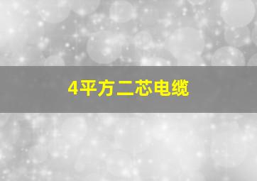 4平方二芯电缆