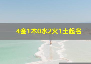 4金1木0水2火1土起名