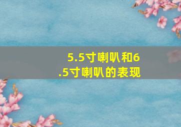 5.5寸喇叭和6.5寸喇叭的表现