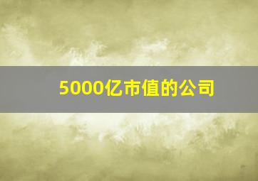 5000亿市值的公司