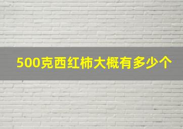 500克西红柿大概有多少个