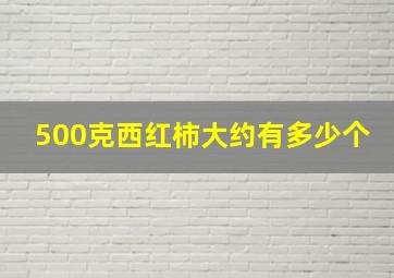 500克西红柿大约有多少个