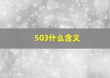 503什么含义