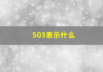 503表示什么